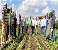 «زراعة الغربية» تنظم ندوة إرشادية عن محصول بنجر السكر 