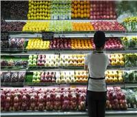 فاو: استقرار مؤشر أسعار الغذاء العالمية في سبتمبر