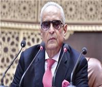 بهاء أبو شقة: بيان البرلمان الأوروبي ضمن حروب الجيل الرابع ويسيء لمصر