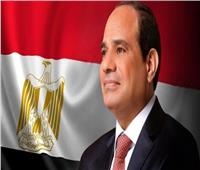 المصريون في النمسا يؤيدون الرئيس عبد الفتاح السيسي لولاية رئاسية جديدة