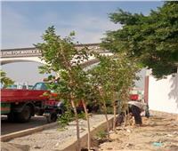 زراعة 4400 شجرة بشق الثعبان بمحافظة القاهرة