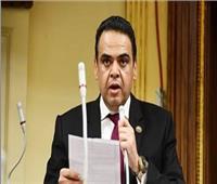 برلماني: مصر تتبنى رؤية واضحة وحاسمة لوقف الانتهاكات الإسرائيلية 