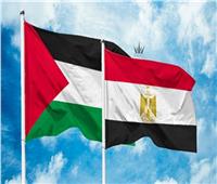 «اكسترا نيوز» تسلط الضوء على تحركات مصر تجاه فلسطين