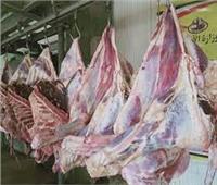 التموين تواصل ضخ اللحوم المجمدة بـ160 جنيهًا