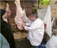 تكيثف أعمال التطهير وفحص اللحوم خلال مولد السيد البدوي بطنطا