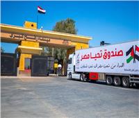 مصر تدعو جميع الدول والمنظمات الإقليمية لتقديم مساعدات للشعب الفلسطيني 