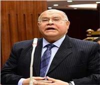رئيس حزب الجيل الديمقراطى: مصر لن تتخلى عن أمتها العربية وقضيتها المركزية