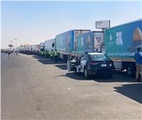 آلاف الأطنان من المساعدات الغذائية والأدوية من مصر لدعم الأشقاء في غزة.. تفاصيل