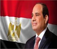 الصيرفي: قرارات مجلس الأمن القومي تعكس يقظة وقوة مصر للحفاظ على أمنها