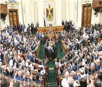 برلمانية: بيان مجلس النواب بشأن القضية الفلسطينية تاريخي ويعبر عن الشعب المصري
