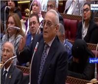 أمن مصر وحقوق فلسطين.. وكيل مجلس الشيوخ يعلن تأييده لقرارات الرئيس السيسي