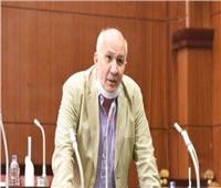 برلمانية التجمع: القضية الفلسطينية مركزية ويتوحد حولها الشعب المصري