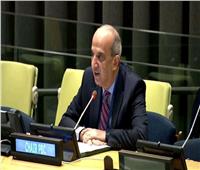 مندوب مصر بالأمم المتحدة: إسرائيل لديها خطة لتهجير الفلسطينيين