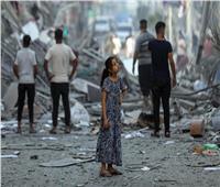خالد حنفي يطالب بدعم الاقتصاد «الفلسطيني» وأهالي «غزة»