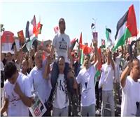 صور السيسي وأعلام مصر وفلسطين تتصدر مظاهرات المنصة