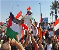 جمعة التفويض.. مظاهرات حاشدة في محافظات مصر دعمًا لفلسطين ورفضًا لتهجير سكان غزة
