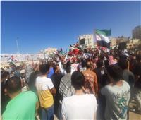 الآلاف من أبناء شمال سيناء يتضامنون مع الشعب الفلسطيني| فيديو