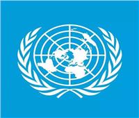 الأمم المتحدة: قلقون من استمرار الضربات الإسرائيلية العنيفة في جميع أنحاء غزة