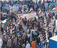 الحركة الوطنية يشارك في مسيرات بورسعيد ويعلن تفويض السيسي لحماية الحدود