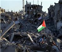 حقوق الإنسان بالنواب: يتم ارتكاب جرائم الحرب بكل بنودها على أرض فلسطين