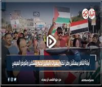 أمانة القاهرة بمستقبل وطن تنظم مسيرات بالملايين لدعم فلسطين وتفويض السيسي| فيديو