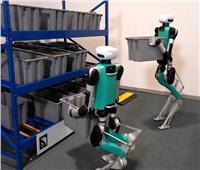 مستودعات الروبوت «ديجيت» تهدد مستقبل العمال البشريين