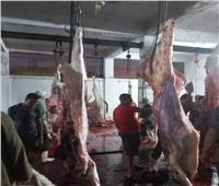 الزراعة: حملات رقابية على أسواق اللحوم لحماية صحة المواطنين