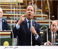 برلماني: كلمة الرئيس بقمة القاهرة للسلام جسدت صوت ومعاناة الشعب الفلسطيني
