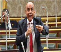 برلماني: قمة القاهرة للسلام خطوة جادة لحل الأزمة