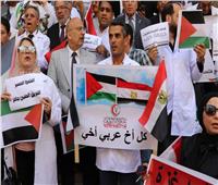 مجلس «أطباء القاهرة» يشيد بقمة القاهرة للسلام 