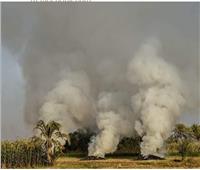 حرق المخلفات الزراعية مراقب «بالقمر الصناعي» في أسيوط