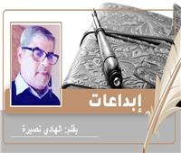 «صلابة ناعمة».. قصة قصيرة للكاتب الهادي نصيرة | تونس     