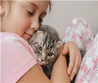 نصائح منزلية.. فوائد تربية القطط في المنزل وأسباب تعلقها بالإنسان؟