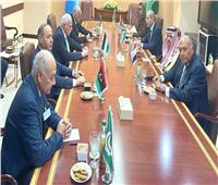 شكري يشارك في الاجتماع التنسيقى لوزراء الخارجية العرب المتواجدين بنيويورك