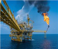 وكالة الطاقة الدولية تتوقع تراجع أسعار الغاز الطبيعي بنسبة 80%