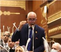 عضو بالشيوخ: كلمة مصر أمام مجلس الأمن تعكس الاهتمام بالقضية الفلسطينية 