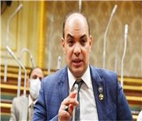 علاء قريطم: مصر لديها جيش قوي قادر على حماية الأمن القومي المصري‎