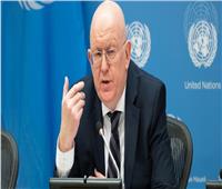 مندوب روسيا لمجلس الأمن: نرفض أي تهجير لسكان غزة.. وأمريكا تسعى لقرارات مسيسة