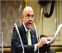 برلماني يثمن التحركات المصرية علي الساحة الدولية لدعم القضية الفلسطينية‎