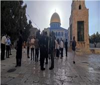 «القاهرة الإخبارية».. قوات الاحتلال تستخدم القنابل الغازية منتهية الصلاحية في القدس