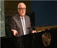 مندوب فلسطين بالأمم المتحدة: مجلس الأمن «لم يرتق» لمسئوليته بشأن الوضع في غزة
