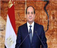 الرئيس السيسي: مصر دولة قوية ذات سيادة 