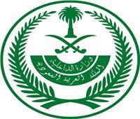 الداخلية السعودية: ضبط 17 ألفا و260 مخالفا لأنظمة الإقامة والعمل خلال أسبوع