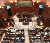 برلماني: جهود مصر في مكافحة الإرهاب كُللت بالنجاح وسيناء شهدت طفرة تنموية‎