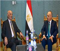 أسبوع القاهرة للمياه| وزير الري يدعو نظيره العراقي للانضمام لمبادرة «AWARe»