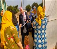 حملة طرق الأبواب تقدم خدمات تنظيم الأسرة لـ 52 ألف سيدة بالشرقية