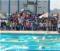 انطلاق بطولة أفريقيا والعرب للسباحة بالزعانف أوائل نوفمبر بمشاركة 7 دول  بشرم الشيخ