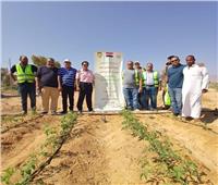 بحوث الصحراء ينظم قافلة تنموية لدعم مزارعي جنوب سيناء