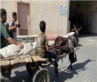 في ظل أزمة الوقود بغزة.. عربات «الكارو» بديلاً لسيارات الإسعاف في نقل الجثث