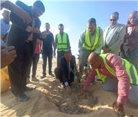 «بحوث الصحراء» ينظم ورش عمل لمزراعي شمال سيناء على الممارسات الزراعية الصحيحة